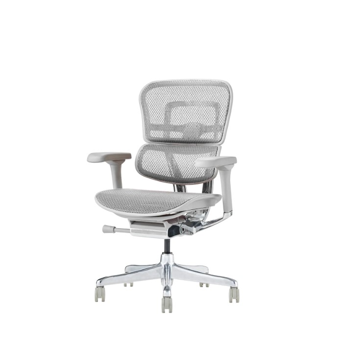 Ergohuman EHP2-LAM -エルゴヒューマンプロ2ロータイプ