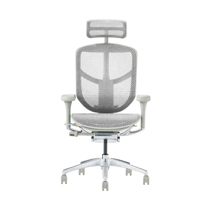 Ergohuman EJ2-HAM -エルゴヒューマンエンジョイ2ハイタイプ