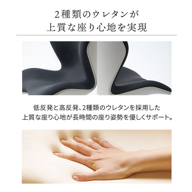 Style Chair PMC スタイルチェア ピーエムシー -Wellness Chair 