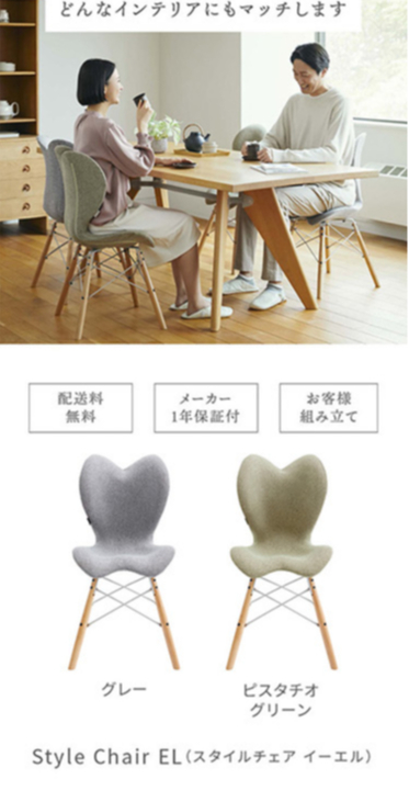 Style Chair EL スタイルチェア イーエル -Wellness Chair- スタイル