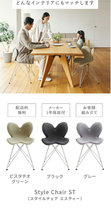 Style Chair ST スタイルチェア エスティー -Wellness Chair- スタイル